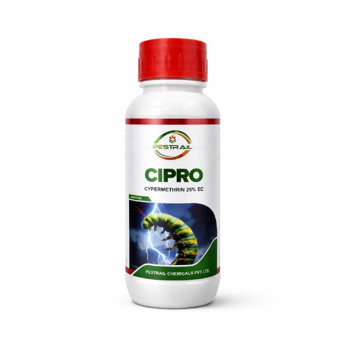 CIPRO